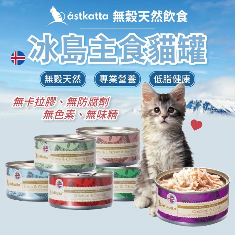 astkatta 冰島主食無穀貓罐 80g 健康低脂主食貓罐 貓咪罐頭 無卡拉膠 無防腐劑 無味精 無色素 貓食品 罐罐