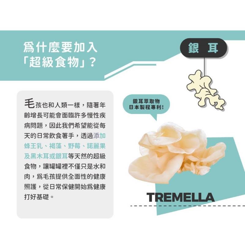 Super 陪心小白主食罐 貓主食罐 低磷 貓罐 貓用 小白罐 鮮肉罐 低碳水 主食罐 罐頭