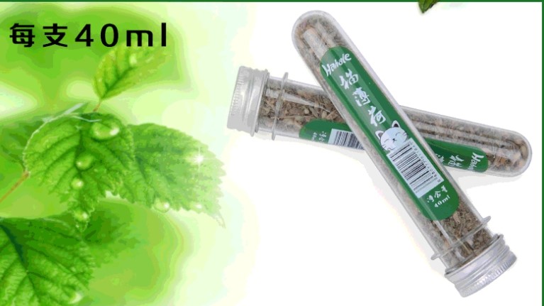 貓薄荷40ml試管裝 貓草 木天蓼葉 貓零食 貓玩具