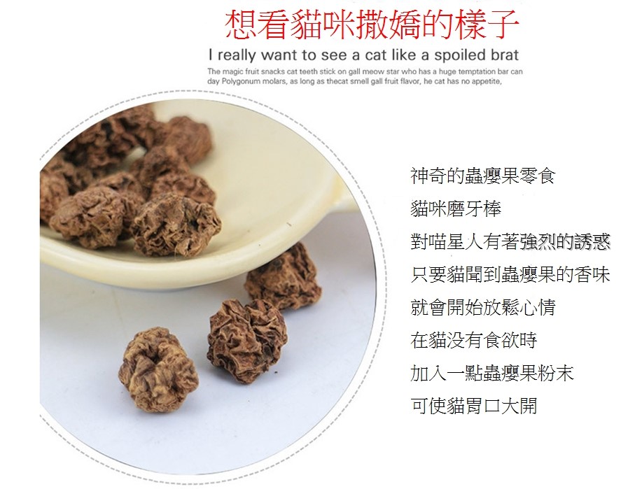 蟲癭果 紓壓