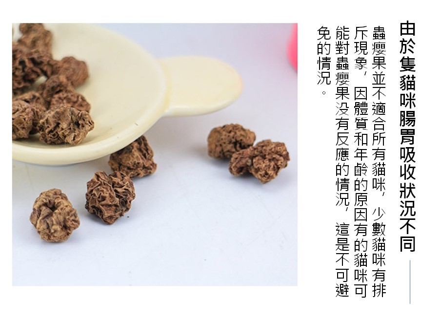 蟲癭果 紓壓