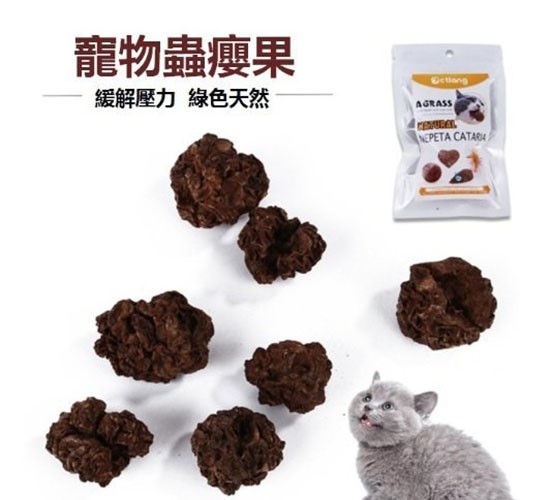蟲癭果 紓壓