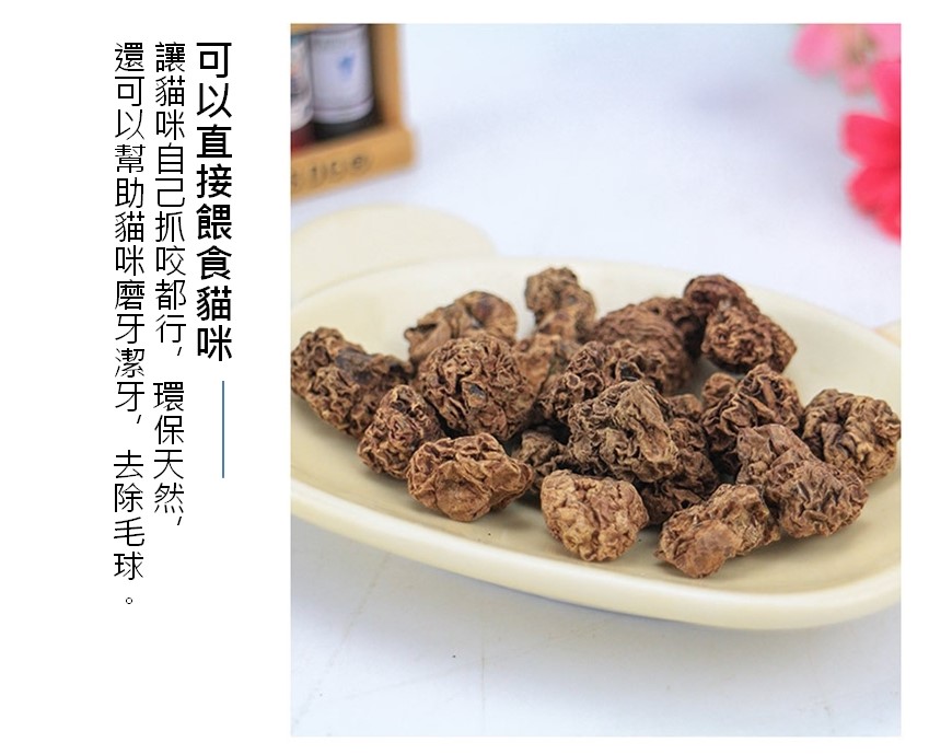 蟲癭果 紓壓