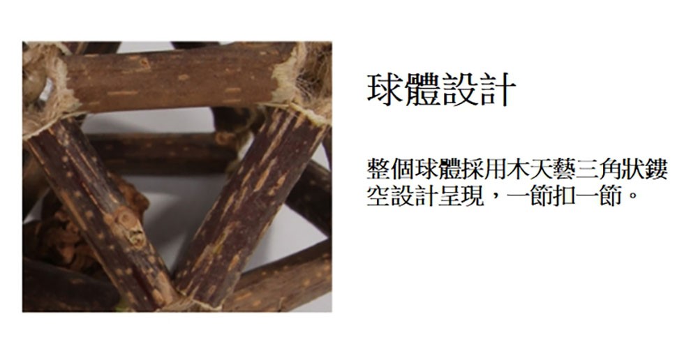 天然野生 玲瓏球 貓咪玩具球 蟲癭果