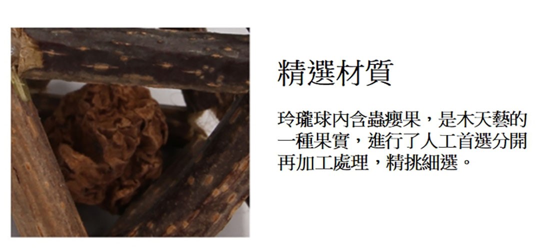 天然野生 玲瓏球 貓咪玩具球 蟲癭果
