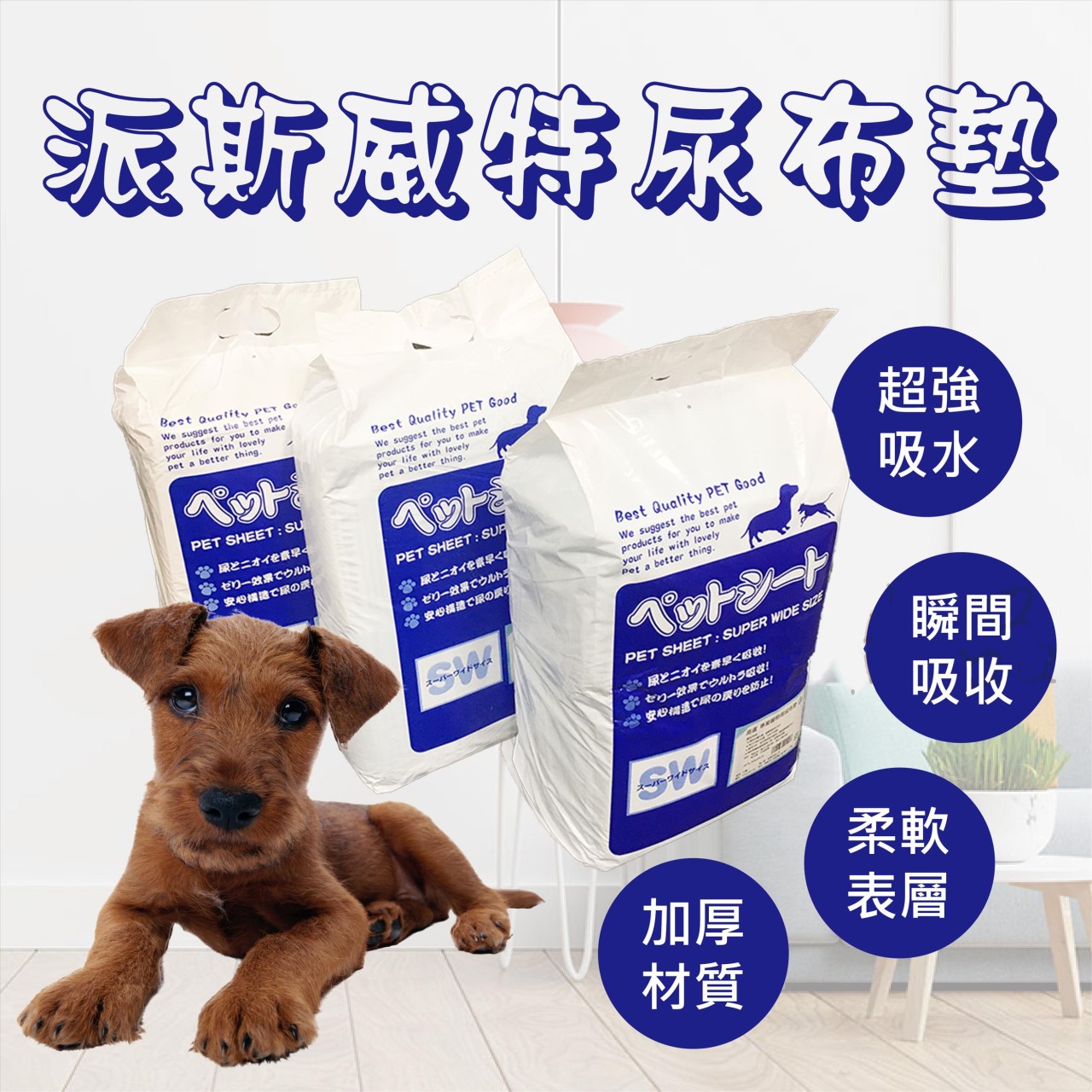 派斯威特尿布墊 四層 專業寵物用尿布墊 高盧尿布 吸水尿墊