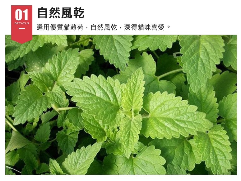 試管裝 貓薄荷葉粉 貓薄荷莖粉 木天蓼粉 蟲癭果粉