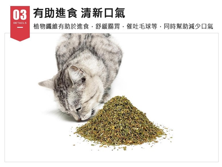 試管裝 貓薄荷葉粉 貓薄荷莖粉 木天蓼粉 蟲癭果粉