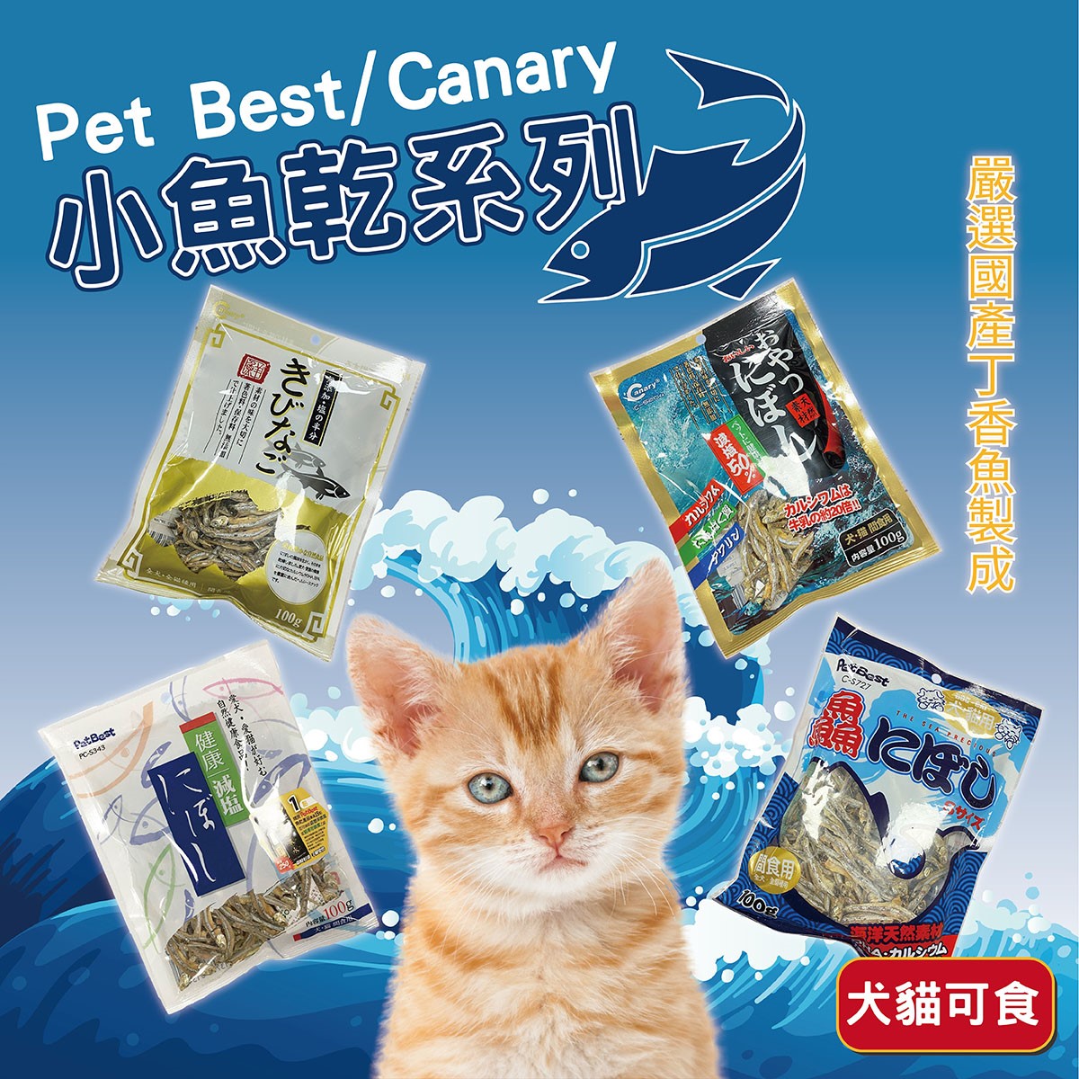 Pet Best 新鮮廚房天然丁香魚 魚乾 小魚乾 丁香魚乾 狗狗零食 貓咪零食 天然零食 鮮魚乾