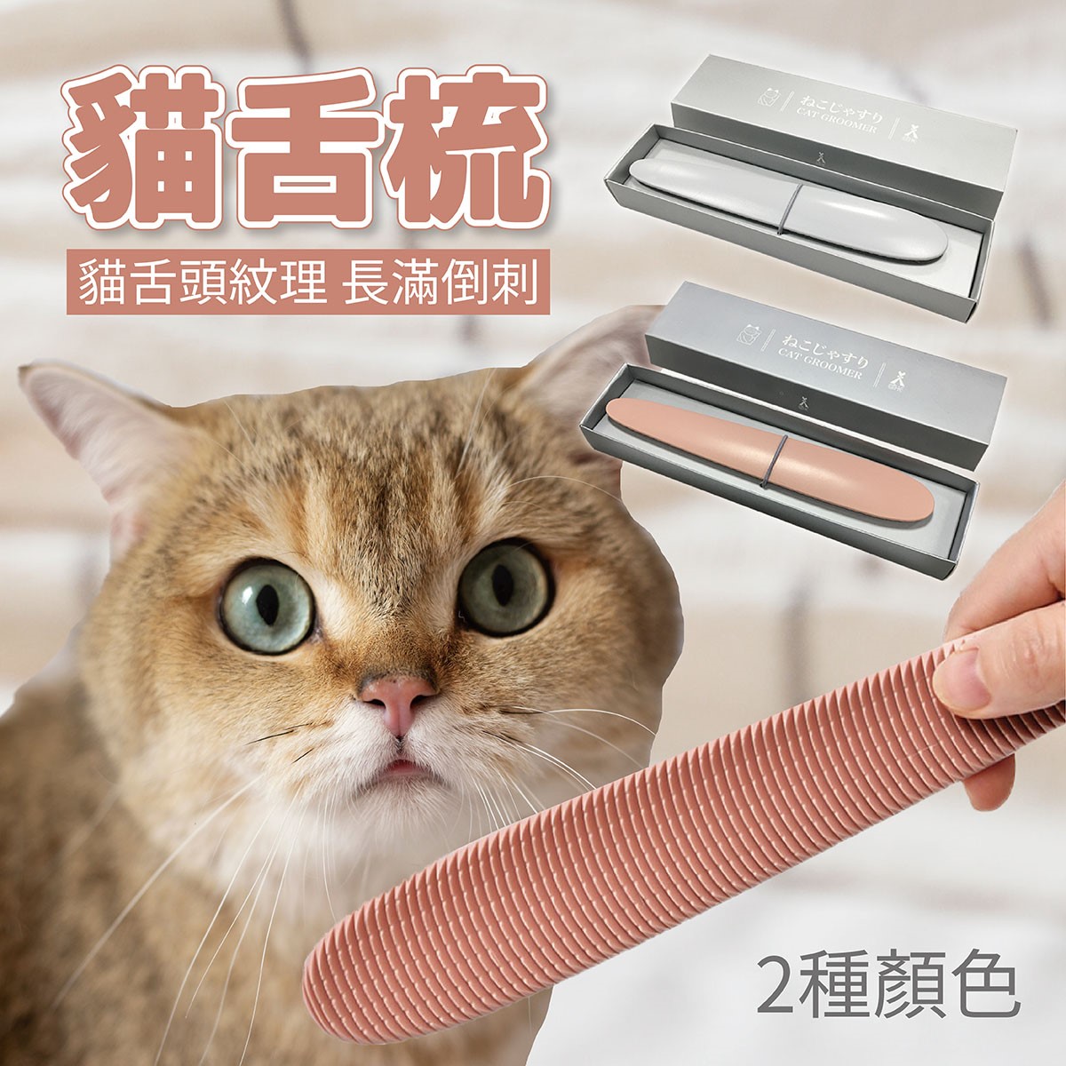 貓舌梳 貓咪清潔美容梳 貓咪專用梳 按摩梳
