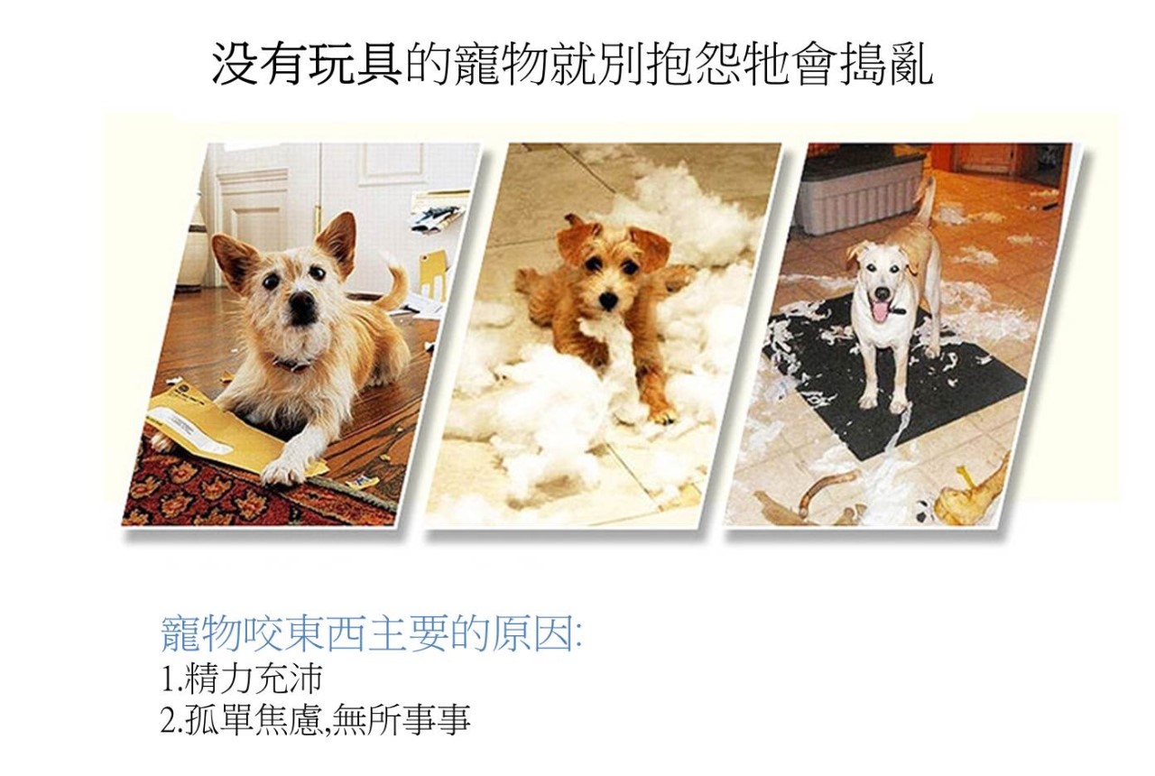 狗狗磨牙絨毛發聲玩具 寵物玩具 發聲玩具