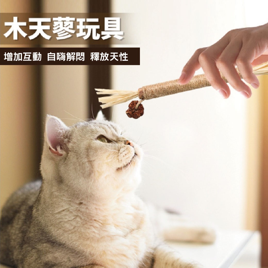 貓咪木天蓼磨牙棒 貓咪玩具 貓薄荷 拉菲草 蟲癭果 逗貓