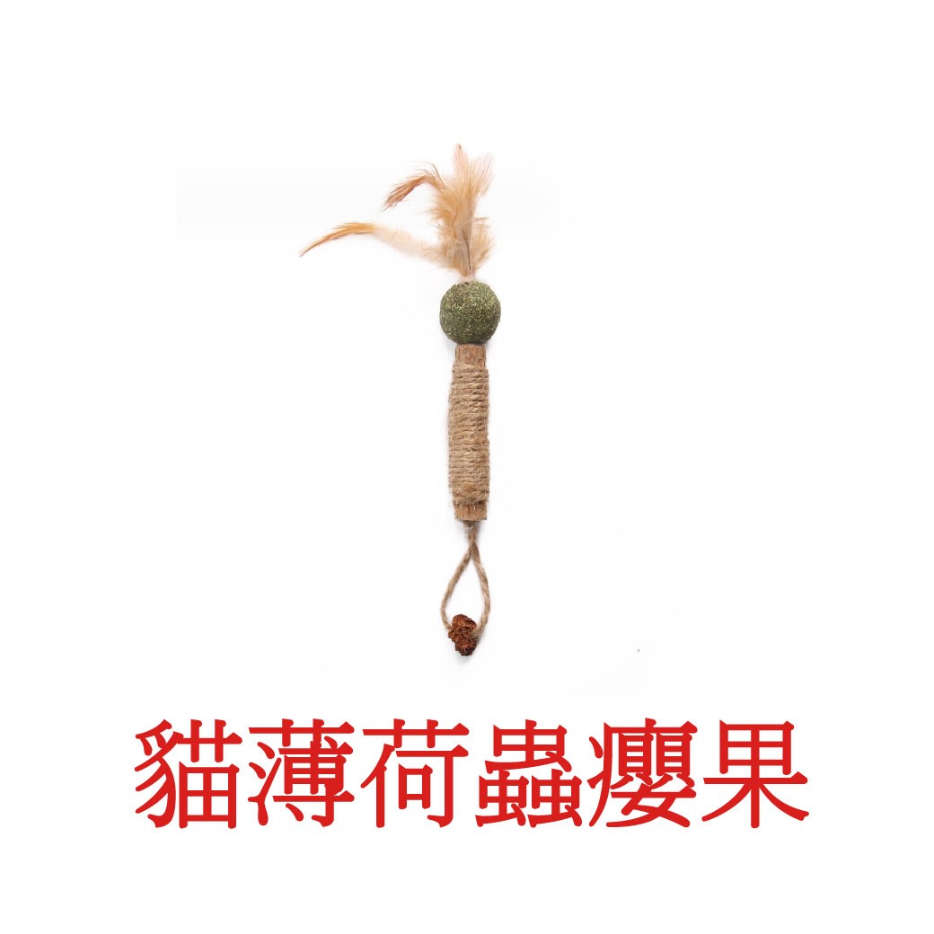 貓咪木天蓼磨牙棒 貓咪玩具 貓薄荷 拉菲草 蟲癭果 逗貓