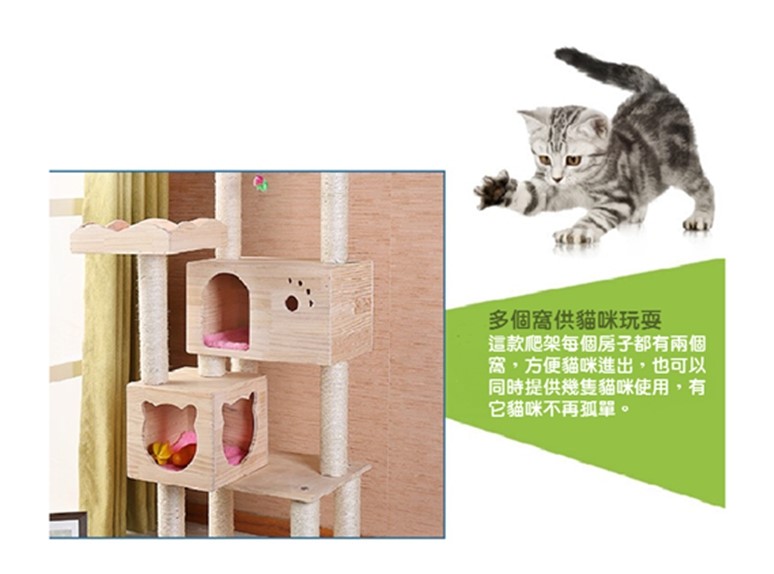 『現貨宅配免運』 實木大型貓跳台 跳台 松木 貓玩具 貓跳台