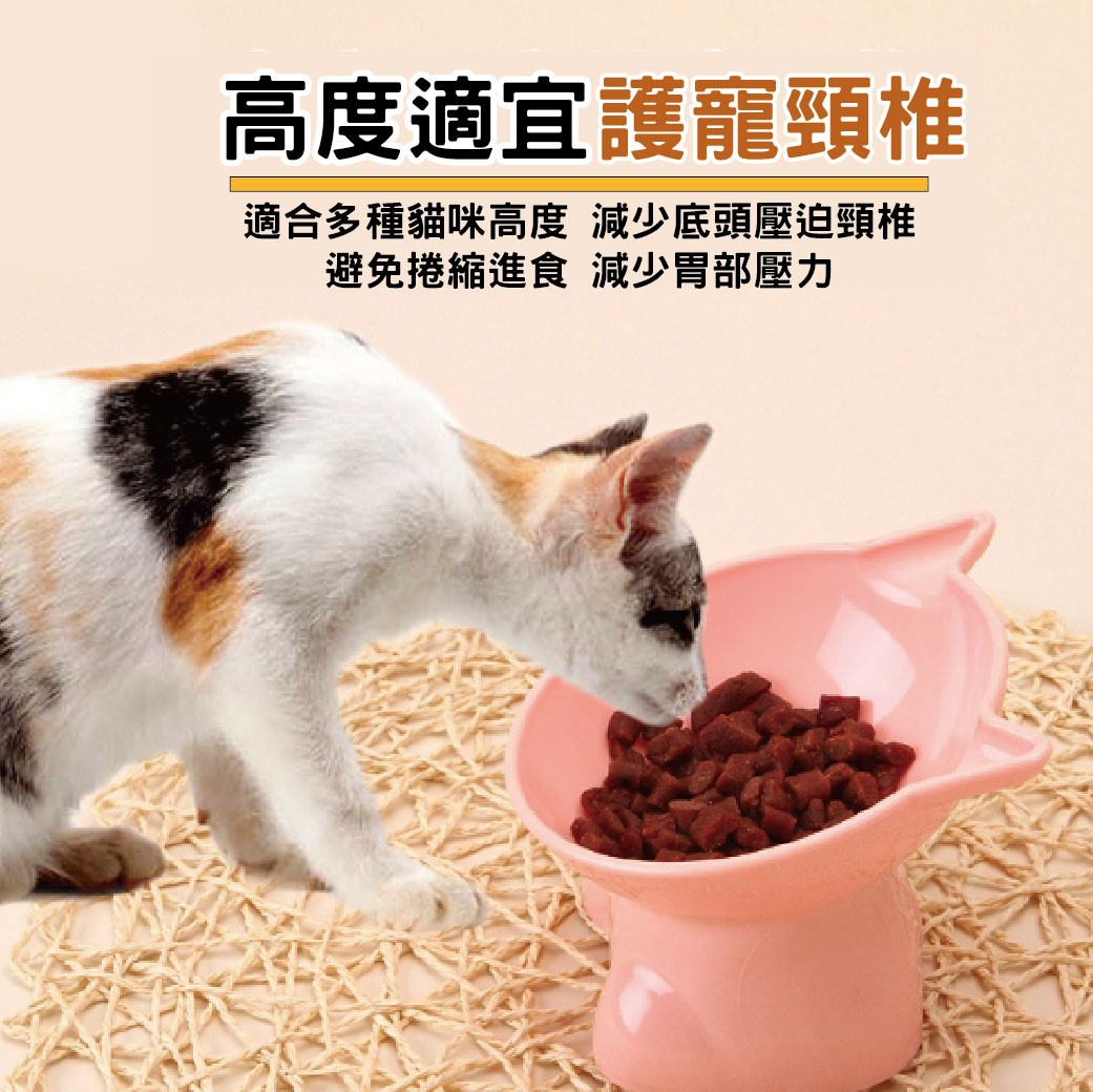北歐風斜口高腳貓碗  護頸寵物碗 傾斜寵物碗