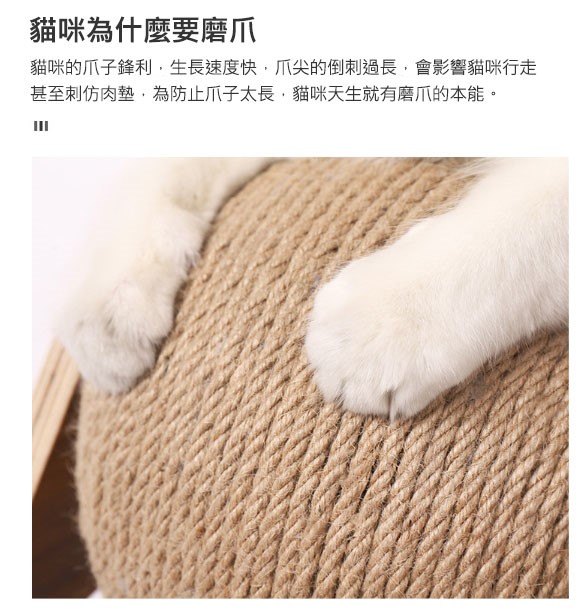 實木旋轉劍麻球 360度貓抓球 劍麻球 貓抓球 貓磨爪 貓爬架 貓抓板