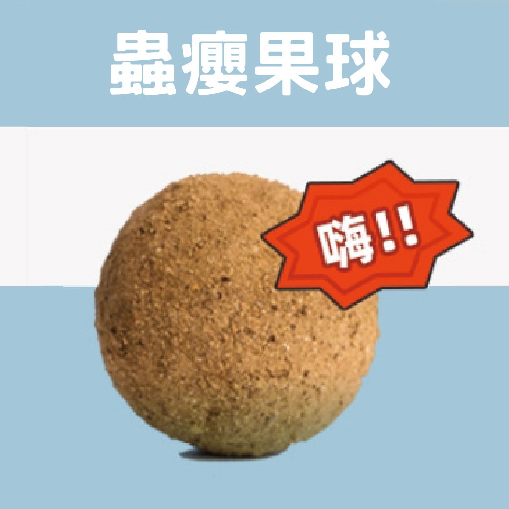 手作10CM 薄荷球 蟲癭果球 解悶 實心製作 貓薄荷