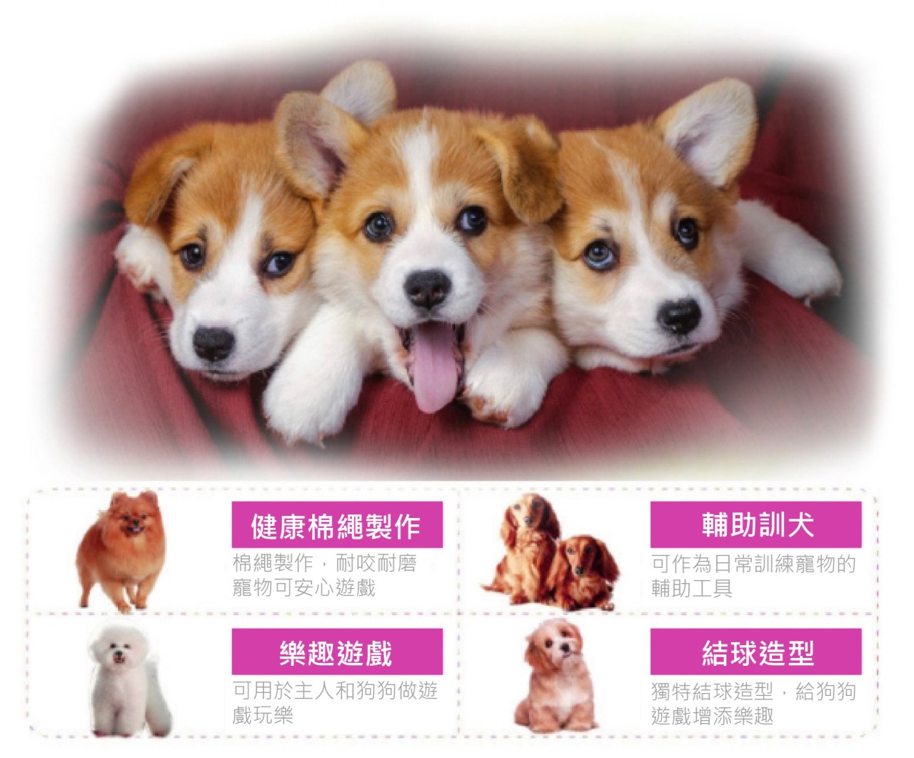 三球棉繩結球玩具 中小型犬 棉繩結球 耐咬繩結 手拉式棉繩 棉繩球 狗玩具 磨牙玩具 寵物玩具