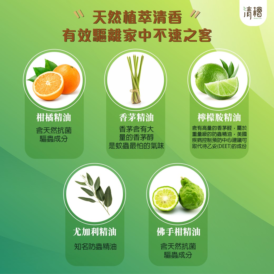 抗菌驅離萬用清潔劑600ml 清檜 Hinoki Life 抗菌 除蚤 貓狗家庭可用 天然 清潔 除菌 芳香