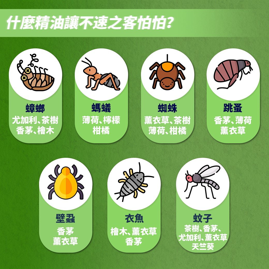 抗菌驅離萬用清潔劑600ml 清檜 Hinoki Life 抗菌 除蚤 貓狗家庭可用 天然 清潔 除菌 芳香