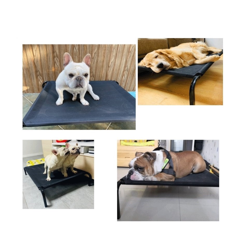 寵物行軍床 寵物床 飛行床 寵物吊床 貓窩 狗窩 架高床 透氣床 彈跳床