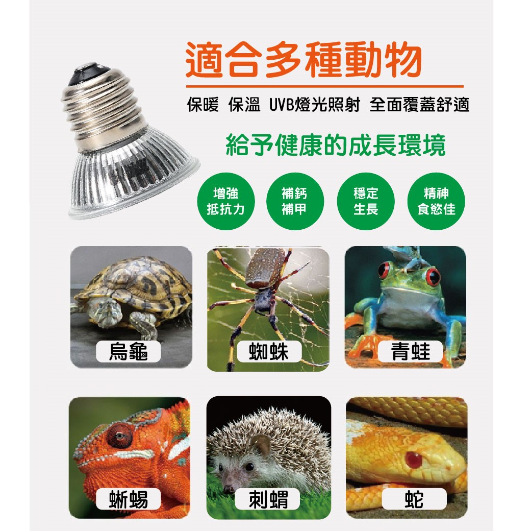 寵物保溫燈泡 陸龜 曬背燈 UVA UVB 保暖 烏龜 兩棲 澤龜 鳥用 燈具 陸龜 水龜 陶瓷 蜥蜴 兩棲 加熱燈