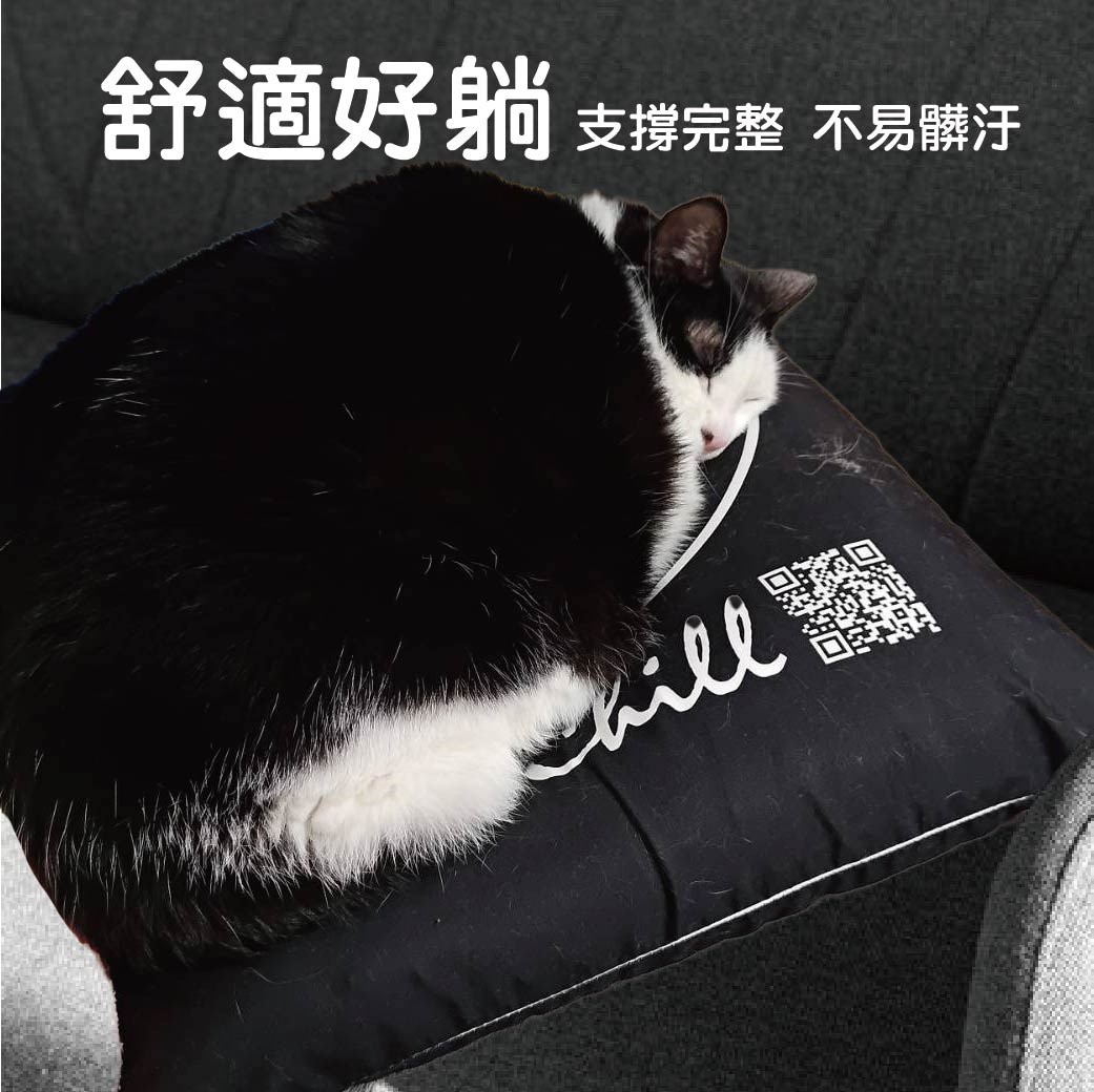 奴意懶骨頭 貓床 狗沙發 墊腳枕 床上靠墊 抱枕 可拆洗 貓奴 家居 頭枕 文字風