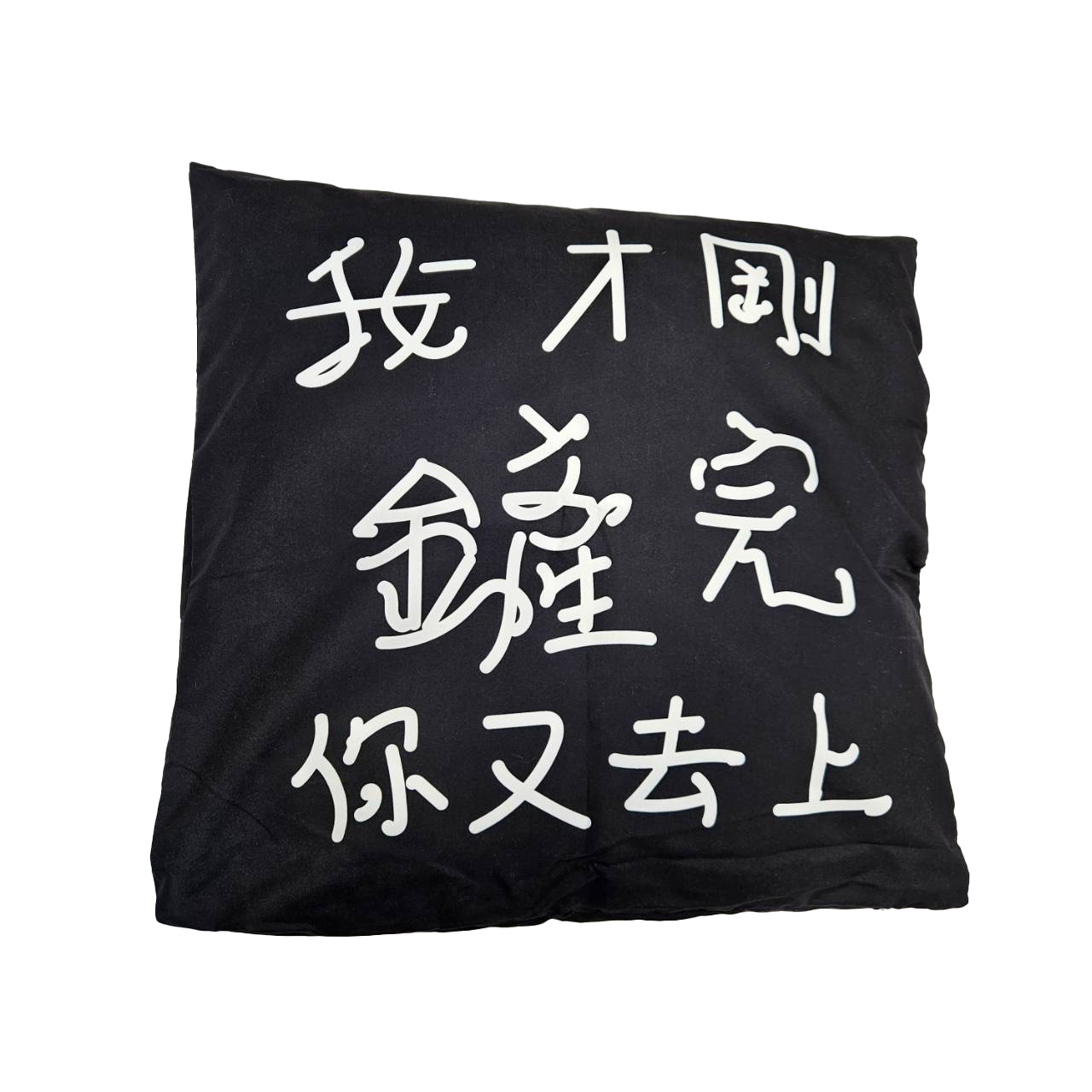 奴意懶骨頭 貓床 狗沙發 墊腳枕 床上靠墊 抱枕 可拆洗 貓奴 家居 頭枕 文字風