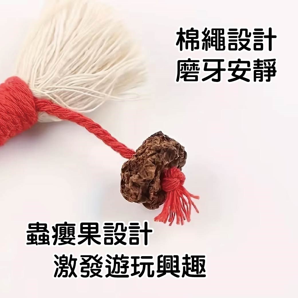 貓玩具貓繩 貓咪啃咬繩磨牙棒 潔齒自嗨神器 耐咬玩具棉繩 貓咪咬咬棒 寵物用品 逗貓玩具  磨牙玩具 貓咪潔牙棒
