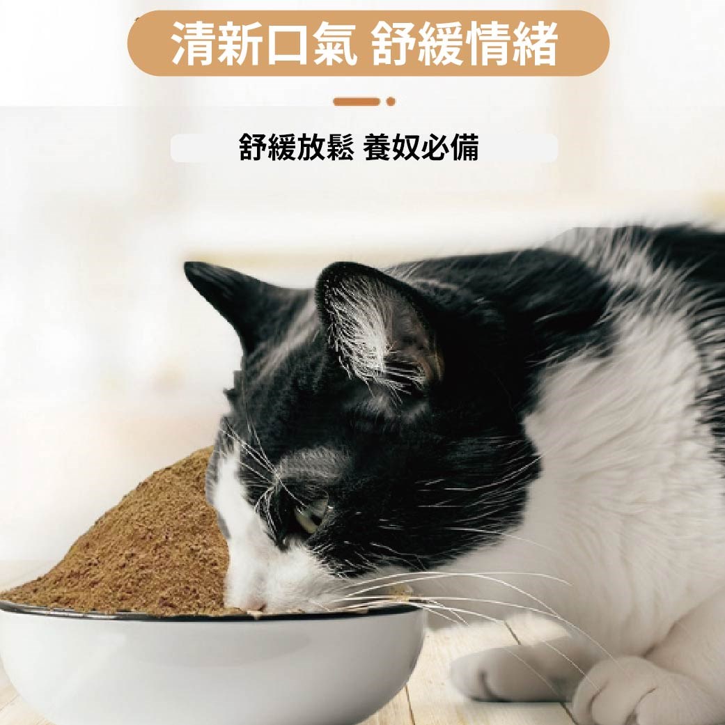當貓也是很有壓力的 也得好好放鬆 木天蓼粉 貓零食 貓食 貓玩具 木天蓼 木天寥粉末 貓用 貓草 紓壓 消化排毛
