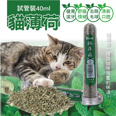 貓薄荷40ml試管裝 貓草 木天蓼葉 貓零食 貓玩具