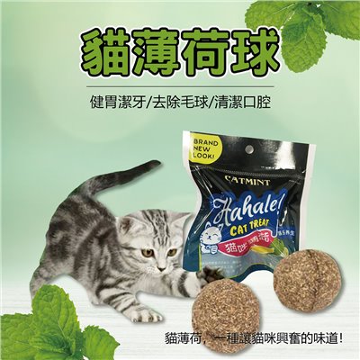 貓薄荷球 貓草球 貓玩具