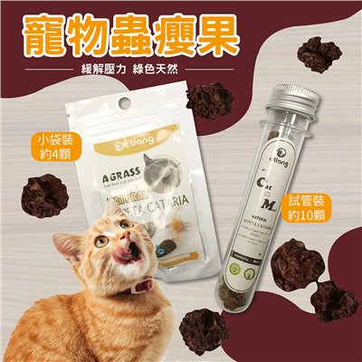 蟲癭果 紓壓