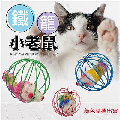 貓咪玩具 鐵籠老鼠 貓咪最愛 耐抓耐咬 安全放心 無聊解悶