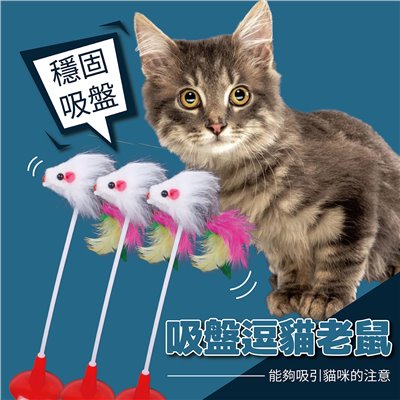 吸盤立式逗貓玩具 彈棒吸盤老鼠 小老鼠 逗貓玩具 貓玩具