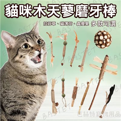 貓咪木天蓼磨牙棒 貓咪玩具 貓薄荷 拉菲草 蟲癭果 逗貓