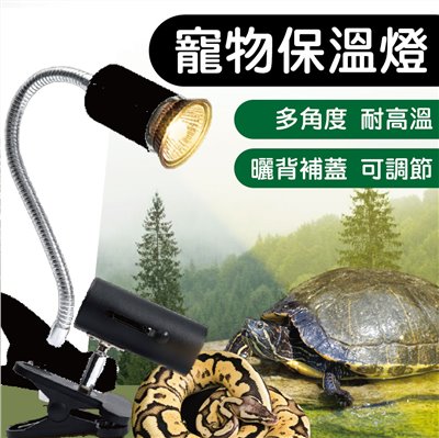 寵物保溫燈 保暖燈 烏龜燈 鸚鵡 刺蝟 蛇 蜥蜴 陶瓷燈泡 燈罩 烏龜 取暖燈 加熱燈 陸龜 澤龜 曬背燈